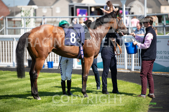 Ffos Las - 27th August 21 - Race 2 - Large-12