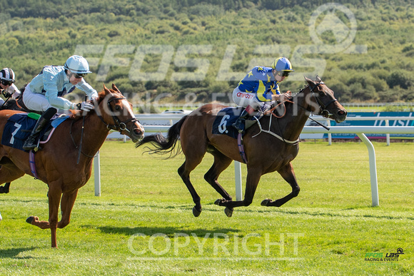 Ffos Las - 27th August 21 - Race 3 - Large-9