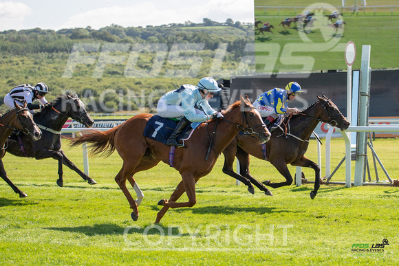 Ffos Las - 27th August 21 - Race 3 - Large-10