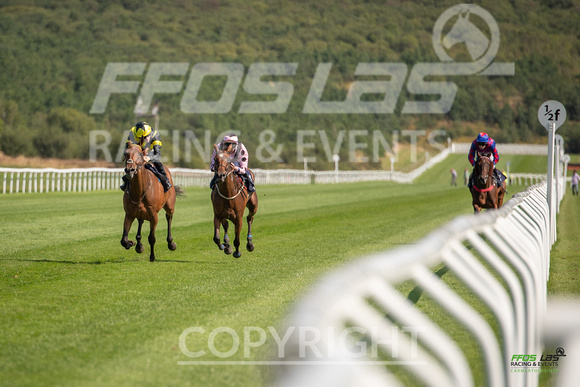 Ffos Las - 27th August 21 - Race 4 -  Large-3