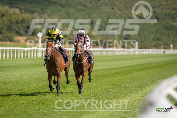 Ffos Las - 27th August 21 - Race 4 -  Large-4