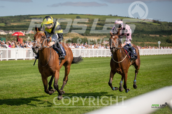 Ffos Las - 27th August 21 - Race 4 -  Large-7