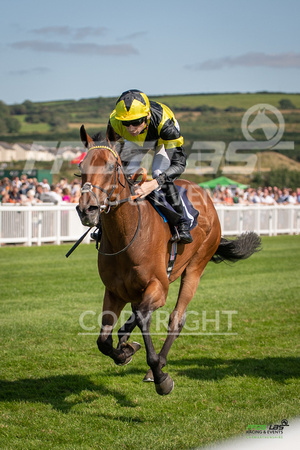 Ffos Las - 27th August 21 - Race 4 -  Large-8