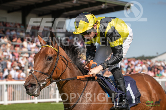 Ffos Las - 27th August 21 - Race 4 -  Large-11