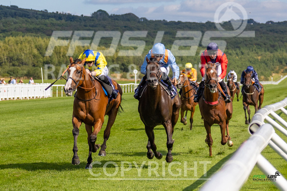 Ffos Las - 27th August 21 - Race 5 -  Large-54