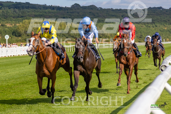 Ffos Las - 27th August 21 - Race 5 -  Large-55