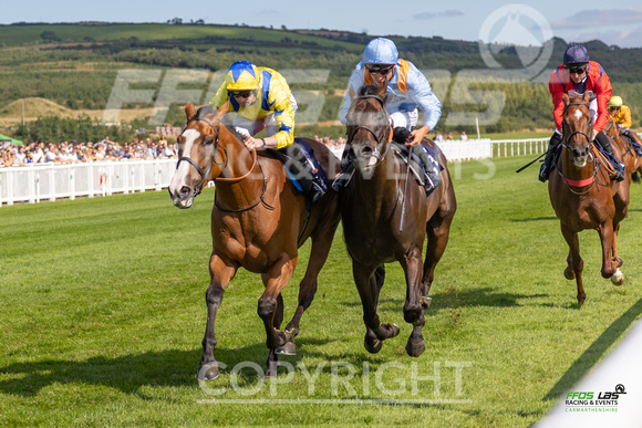 Ffos Las - 27th August 21 - Race 5 -  Large-57