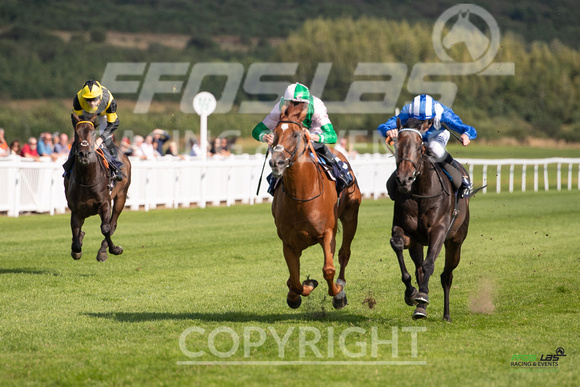 Ffos Las - 27th August 21 - Race 6 -  Large -1