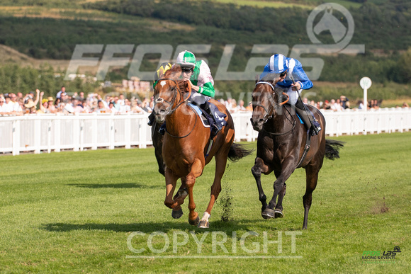 Ffos Las - 27th August 21 - Race 6 -  Large -3