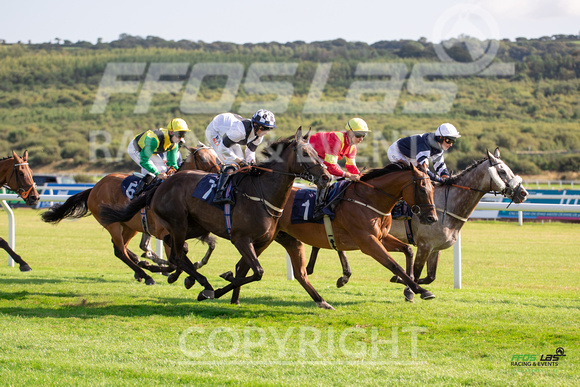 Ffos Las - 27th August 21 - Race 7 -  Large -4