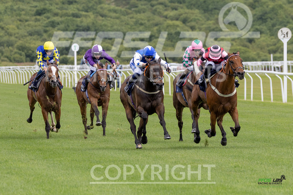 Ffos Las - 23rd June 24 - 15th Birthday - Race 1  (14 of 24)