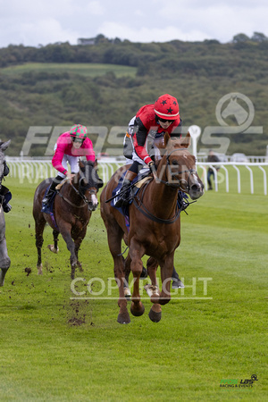 Ffos Las - 25th September 2022 - Race 2 -  Large-15