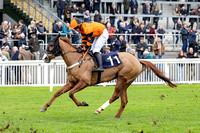 Ffos Las Race Day - 11th November 24 - Race 1 -18