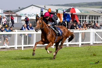 FFos Las - Thursday 29th Aug 24 - Final Edits_ Race 1-6