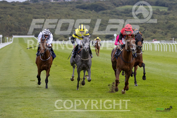 Ffos Las - 25th September 2022 - Race 2 -  Large-12