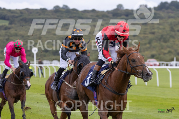 Ffos Las - 25th September 2022 - Race 2 -  Large-17