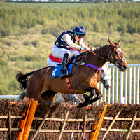 Ffos Las Race Evening - 14th May 2019  -  Race 1 - LARGE -3