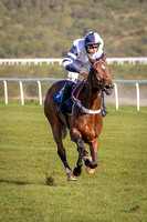 Ffos Las Race Evening - 14th May 2019  -  Race 2 - LARGE -5