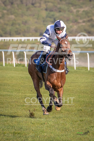 Ffos Las Race Evening - 14th May 2019  -  Race 2 - LARGE -5