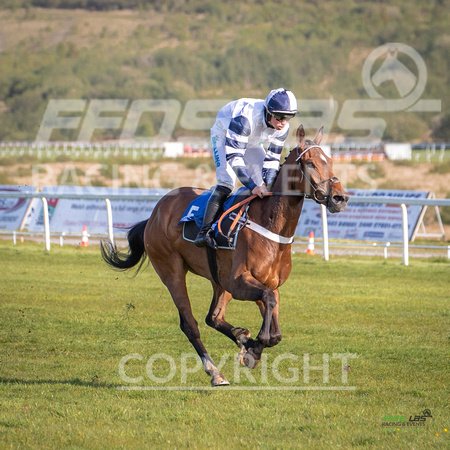 Ffos Las Race Evening - 14th May 2019  -  Race 2 - LARGE -6