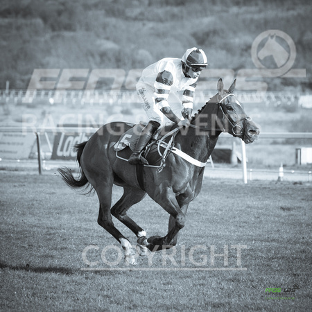 Ffos Las Race Evening - 14th May 2019  -  Race 2 - LARGE -7
