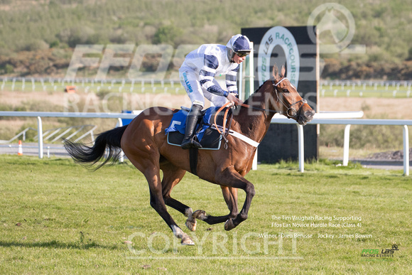 Ffos Las Race Evening - 14th May 2019  -  Race 2 - LARGE -8