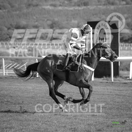 Ffos Las Race Evening - 14th May 2019  -  Race 2 - LARGE -9