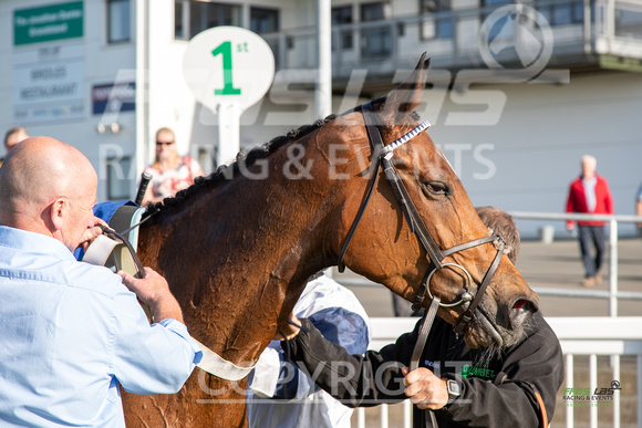 Ffos Las Race Evening - 14th May 2019  -  Race 2 - LARGE -10