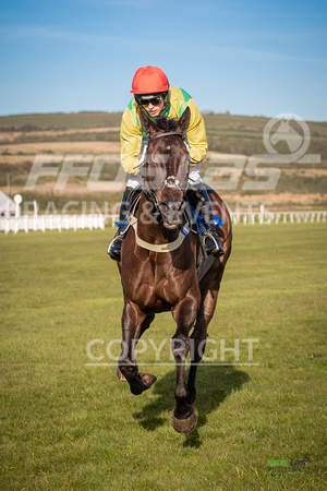 Ffos Las Race Evening - 14th May 2019  -  Race 3 - LARGE-7