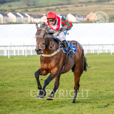 Ffos Las Race Evening - 14th May 2019  -  Race 5 - LARGE -8