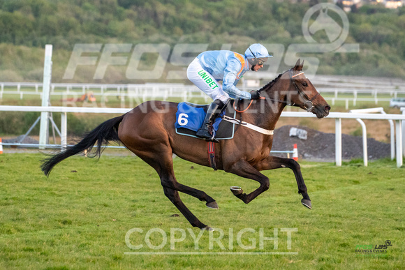 Ffos Las Race Evening - 14th May 2019  -  Race 7 - LARGE -4