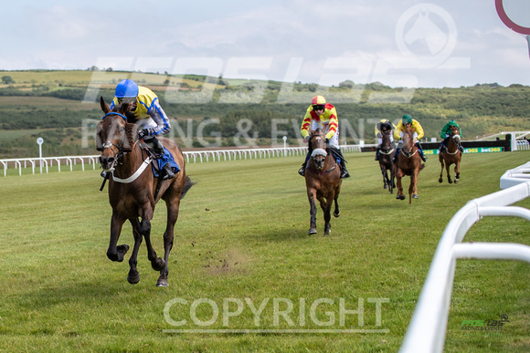 Ffos Las Race Day - 26th June 2019 - LARGE-8
