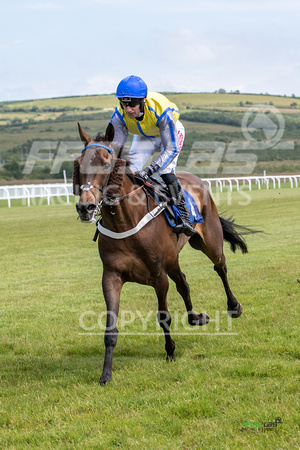 Ffos Las Race Day - 26th June 2019 - LARGE-9