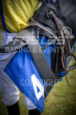 Ffos Las Race Day - 26th June 2019 - LARGE-18