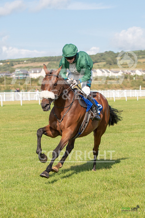 Ffos Las - 18th July 19 Eve Race Meet  - LARGE  FORMAT-2