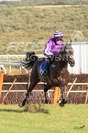 Ffos Las - 18th July 19 Eve Race Meet  - LARGE  FORMAT-18