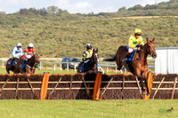 Ffos Las - 18th July 19 Eve Race Meet  - LARGE  FORMAT-20