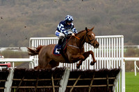 Ffos Las Race Day - 11th November 24 - Race 1 -3