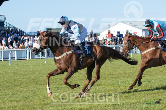 Ffos Las - 28th May 22 - Race 3 - Large-7