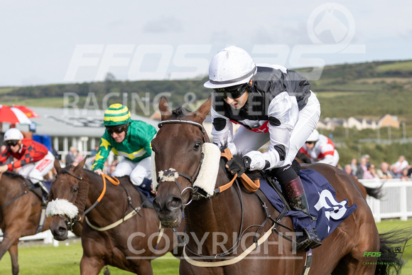 Ffos Las - 25th September 2022 - Race 5 -  Large-15