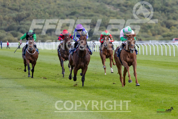 Ffos Las - 25th September 2022 - Race 3 -  Large-7