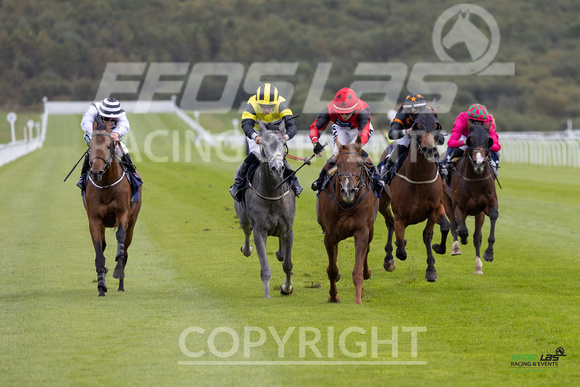 Ffos Las - 25th September 2022 - Race 2 -  Large-7