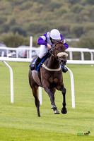 Ffos Las - 25th September 2022 - Pont Race  - Large -1
