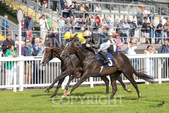 FFos Las - Thursday 29th Aug 24 - Final Edits_ Race 2-6