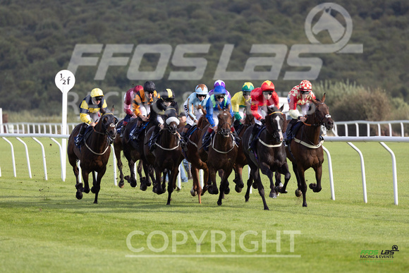 Ffos Las - 25th September 2022 - Race 6 -  Large-3
