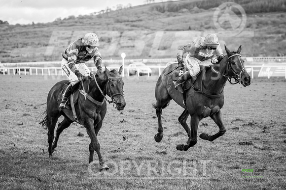 Ffos Las - Race Meeting  FINAL EDITS - 6th March 2020 - Race 5 -  LARGE-5
