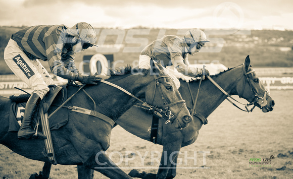 Ffos Las - Race Meeting  FINAL EDITS - 6th March 2020 - Race 5 -  LARGE-8