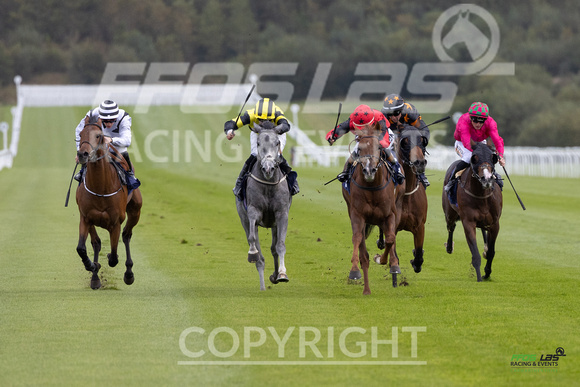 Ffos Las - 25th September 2022 - Race 2 -  Large-4