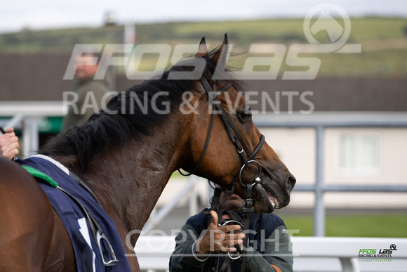 Ffos Las - 25th September 2022 - Race 6 -  Large-14