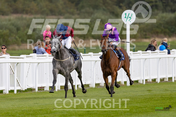 Ffos Las - 25th September 2022 - Race 4 -  Large-2